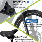 DERUIZ E-Bike 28 Zoll E Bike Damen Elektrofahrrad Herren Pedelec Citybike, 250W/48V/13,4AH 40N.m BAFANG Motor, Trekking Ebike Cityrad für Damen, 25km/h, QUARTZ Grey